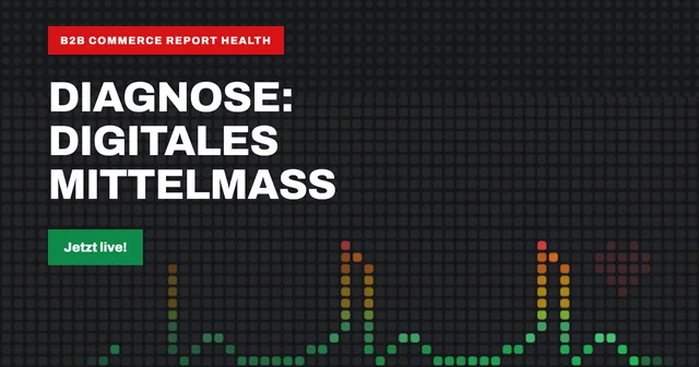 Erkenntnisse-Übersicht des B2B Commerce Report Health mit 14 Befunden zu 64 getesteten B2B-Plattformen im Gesundheitsmarkt